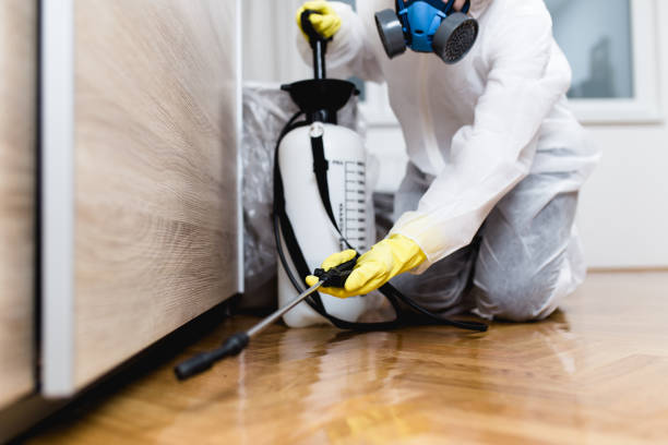 Best Mosquito Control Services  in Morgan, UT