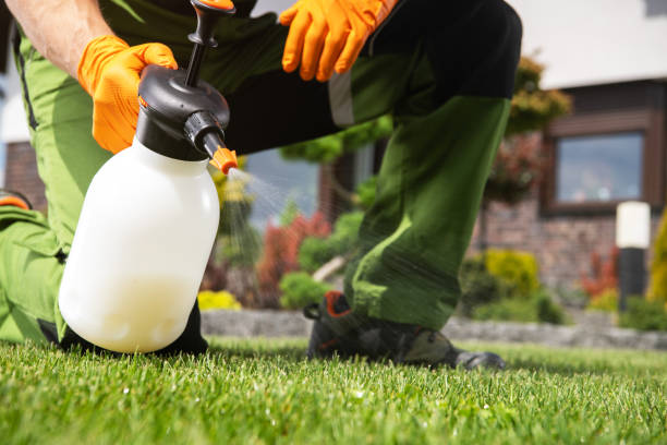 Best Best Pest Control Companies  in Morgan, UT