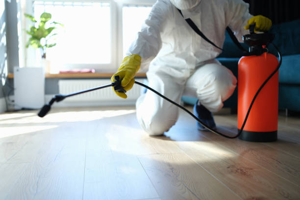 Best Flea Control Services  in Morgan, UT