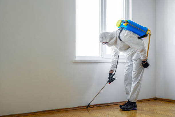 Best Cockroach Control Services  in Morgan, UT
