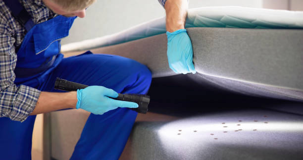 Best Commercial Pest Control Services  in Morgan, UT