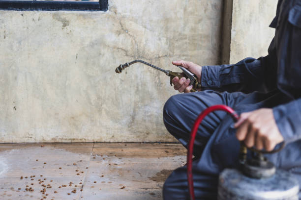 Best Mosquito Control Services  in Morgan, UT