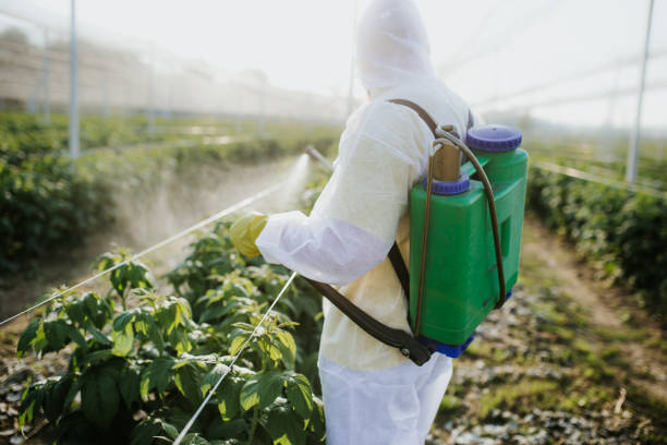 Best Pest Control Near Me  in Morgan, UT